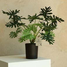人造花盆塞勒姆, 1個, 綠色