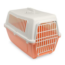 스컬캔디쉬라프넬