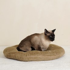 개과천선 고양이 벨베티 쿠션, 브라운, 1개