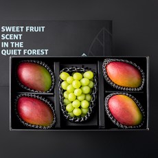 수플린 프리미엄 샤인머스켓 + 애플망고 4입 선물세트 2호, 1세트, 2.2kg