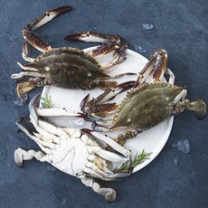바다미식회 신진도 산지직송 살이 꽉찬 가을 숫꽃게 (냉장), 1kg(3~4미), 1개
