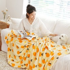 밍크극세사담요