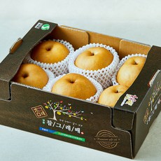 농협 명실상주 GAP 인증 감천배, 1박스, 3kg(4~7입)