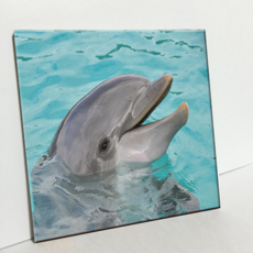 돌고래타일