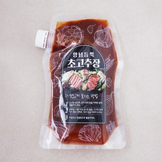 주비푸드 양념듬뿍 초고추장, 500g, 1개 - 나전칠기화초장