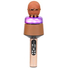 로이체 RGB LED 음성변조 MR변환 휴대용 무선 블루투스 5.0 노래방 마이크 로즈골드, BTS-60KM