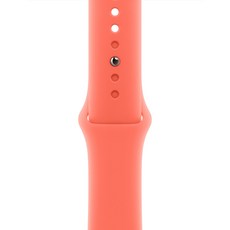 Apple 애플워치 스포츠 밴드 M/L MDRT4FE/A, 탠저린, 1개