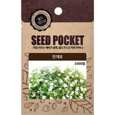 월드가드닝 정원 텃밭 좋은 씨앗 안개초 1개 상품 이미지