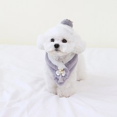 이츠독 반려동물 자개꽃 한복 케이프, 혼합색상