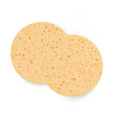 셀룰로오스해면