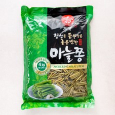 동보식품 정성을 듬뿍담은 좋은반찬 마늘쫑, 4kg, 1개