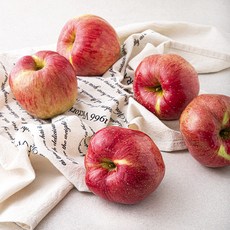 농협 daily 사과, 1.5kg(대과, 4~5입), 1팩