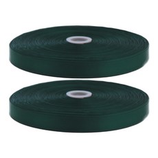 아이엔피 공단리본 2p 15mm, 180m, 수박