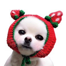 강아지용귀마개