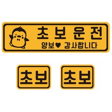 대구수성구운전연수