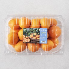 가족 당도선별 11brix 감귤 대과, 2kg, 1팩