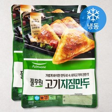 풀무원 고기지짐 만두 (냉동), 300g, 2개