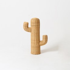 뜨개선인장