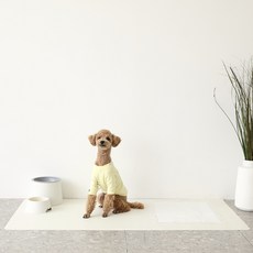  펫피베이직 강아지 논슬립 와이드형 배변매트, 크림, 2개 