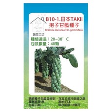 蔬菜工坊 B10-1 日本TAKII抱子甘藍種子 忈誩酫種苗株式會社 40顆, 1個