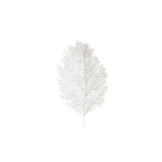 대한 나뭇잎 테이블 매트, 실버, 38 x 56 cm, 1개