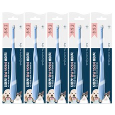 페스룸강아지칫솔