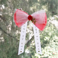 아스파시아 트윙클 리본 카네이션 인간화환 선물로 제가 왔어요 소, 레드, 1개