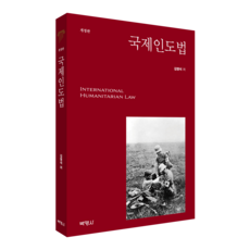 국제인도법 개정판, 김영석, 박영사