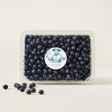 이광호 농부의 무농약 블루베리 대과, 500g, 1개 500g, 1개