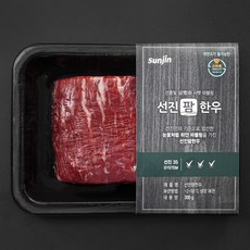 선진팜한우 양지 1등급 국거리용 (냉장), 300g, 1팩