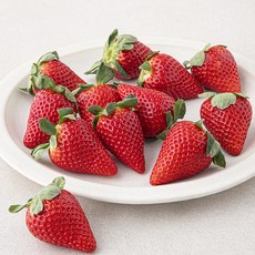 스윗볼 GAP 인증 프리미엄 유러피안 딸기, 1팩, 500g(특대과)