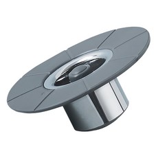 하수구바퀴벌레