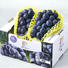 과일진심 거봉, 1개, 1.2kg