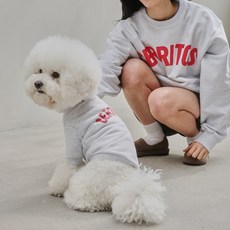 호텔세리토스 HC x andblank Couple Sweat Shirt 반려동물 + 견주 세트, MelangeGray, 1개