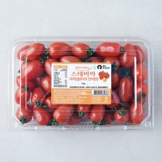 스윗볼 스테비아 한라봉향 대추방울 토마토, 1kg, 1팩
