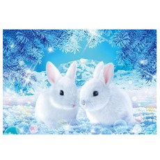 케이엠엘리 일체형 캔버스 액자 3D 원형 보석십자수 키트 50 x 40 cm, 눈위의 토끼, 1세트