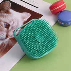 활무늬오징어