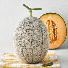 제이드가든 칸탈로프 메론, 1.8kg, 1개