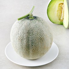 트릿지팜 머스크 멜론, 1.9kg, 1개