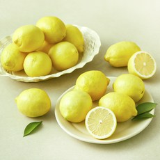 더네이처 레몬 20~22입, 1개, 2kg