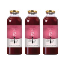 시나몬이오 정말 좋다 타트체리 농축액 주스, 500ml, 3개