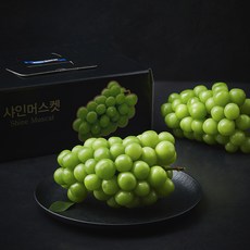 프레시픽 상주 문장대 샤인머스캣 2~3수 선물세트, 2kg, 1박스
