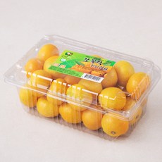 GAP 인증 올레길 쪼꼴락 당도선별 한입 감귤, 1.2kg,