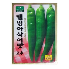 미래종묘 웰빙아삭이맛고추 씨앗, 1개