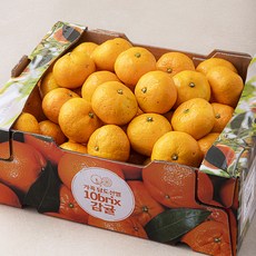 가족 당도선별 10brix 감귤 박스, 1박스, 5kg(로열과)
