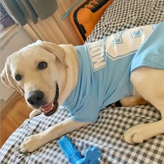 강아지 골든리트리버 여름 중대형견 쿨 메쉬 티셔츠, 블루