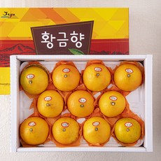 황금향 TOP01