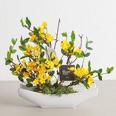 花朵樹木假花斯堪地亞安碗, 黃色