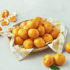 제이드가든 못난이 감귤 랜덤과, 1개, 3kg