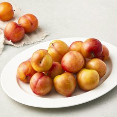 굿데이 당도선별 대석 자두, 1kg(특대과), 1개